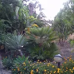 Bed & Breakfast Luisa